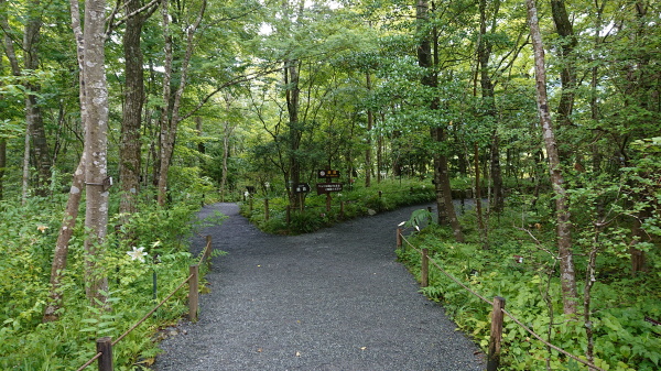 箱根湿生花園