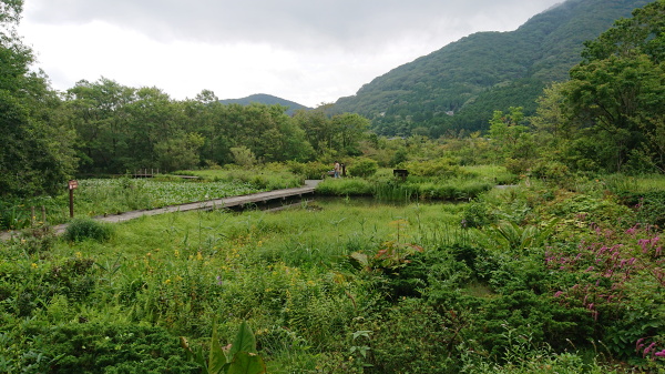 箱根湿生花園