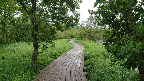 箱根湿生花園