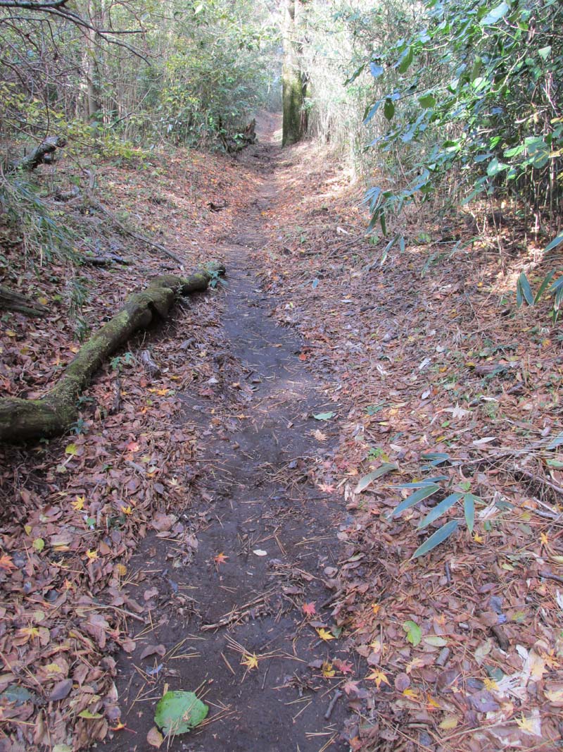 分岐から浅間山への道