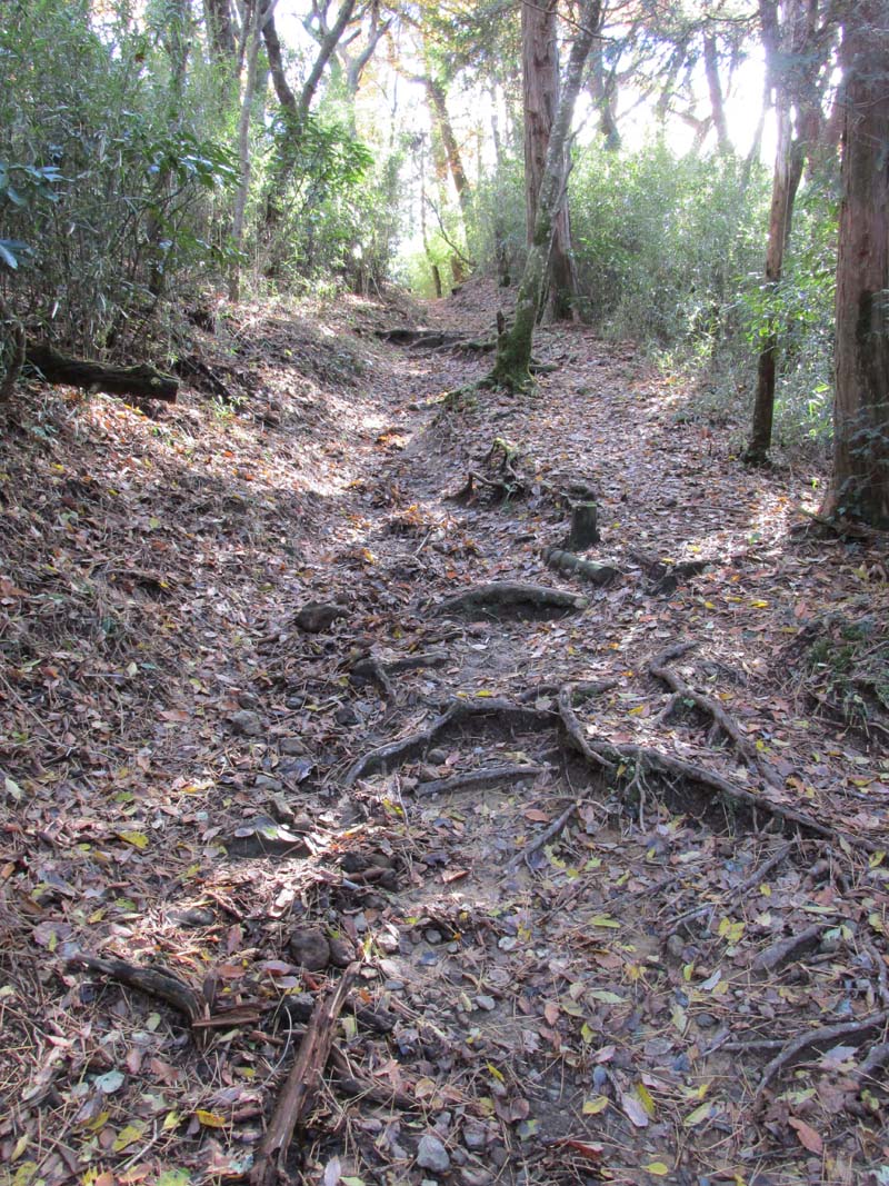 分岐から浅間山への道A