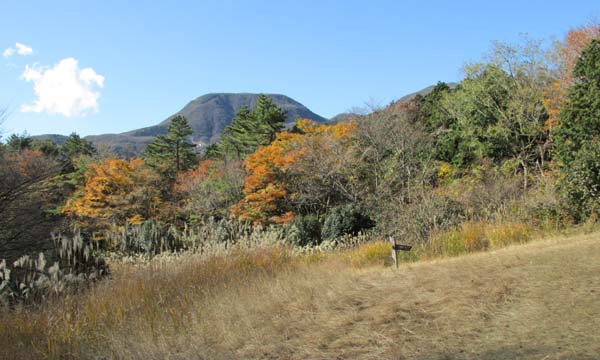 浅間山分岐 山頂広場A